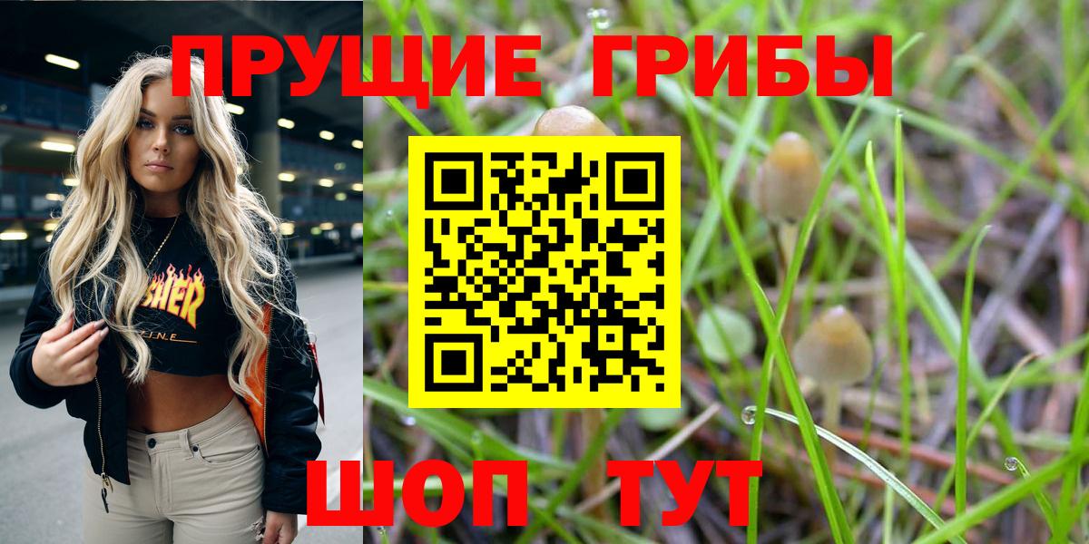 Троицк  Галлюциногенные грибы Cubensis  Вход с VPN  Галлюциногенные грибы мухоморы 